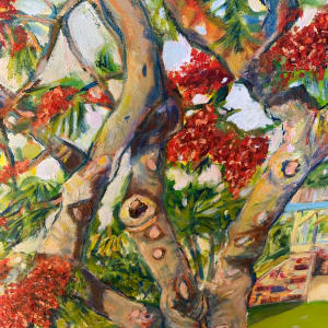 Tannum Poinciana by Wendy Bache 
