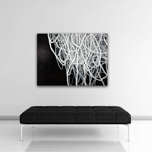 Root by susan wolfe huppman 