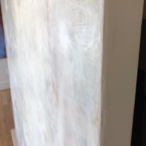 Obscura l by susan wolfe huppman 