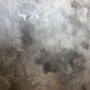Obscura l by susan wolfe huppman 