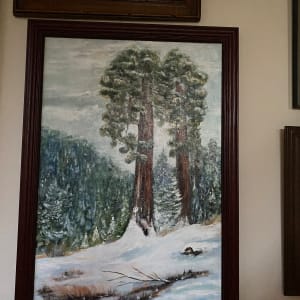 Towering Redwoods by Kerry Kaye  