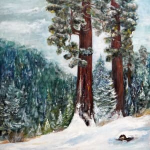 Towering Redwoods by Kerry Kaye  