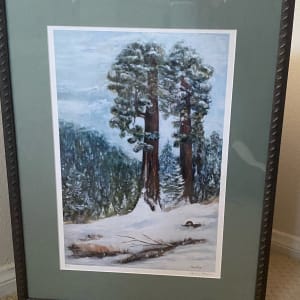 Towering Redwoods 1/50 by Kerry Kaye 