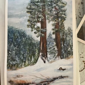 Towering Redwoods 1/50 by Kerry Kaye 
