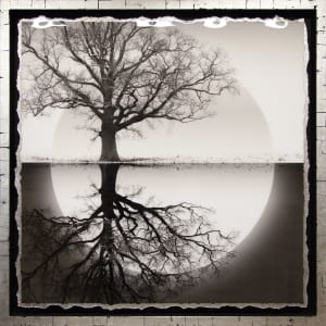 Day & Night - II by Mark Welland