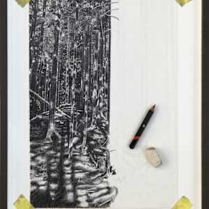 Distraction 1 - Half Drawn Forest by Mark Welland