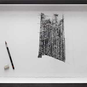 Distraction 2 - Half Drawn Forest by Mark Welland