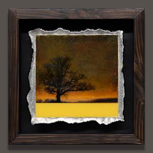 I CONTAIN MULTITUDES - Earth Tones on Pineapple by Mark Welland, Image 1.