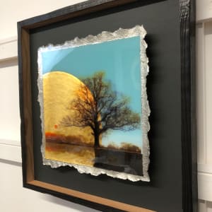 Reflective Practice XII - First Light by Mark Welland 