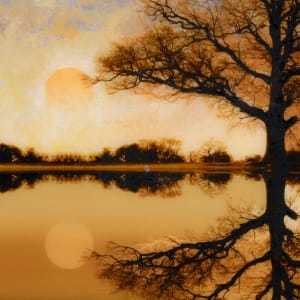 Reflect - XII by Mark Welland 