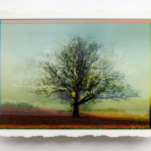 Patina - Veiled Mist