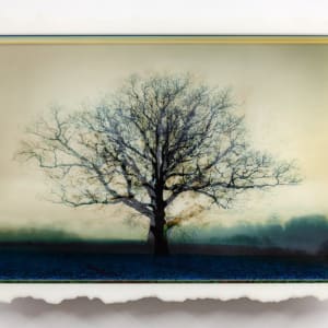 Patina - Warm Mist