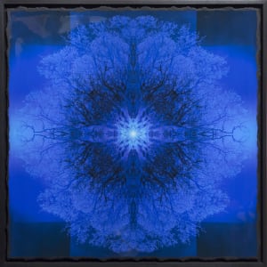 Tripomatic Klein
