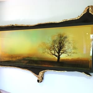 Rising Sun in Umber by Mark Welland