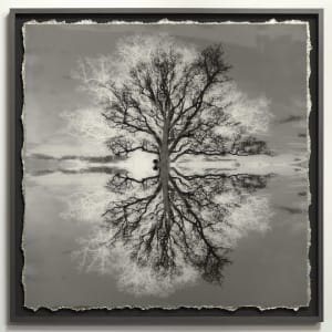 Safe Arbor VI