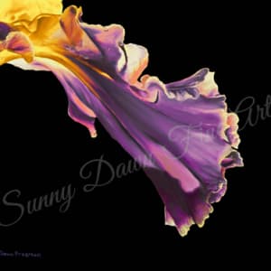 Iris I by Sunny Dawn Freeman, Image 1.