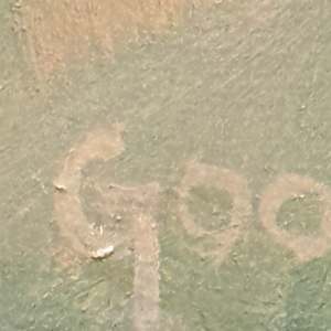 Jaguar by Vicky Gooch  Image: Signature