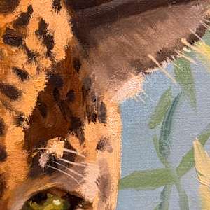 Jaguar by Vicky Gooch  Image: Paint Detail
