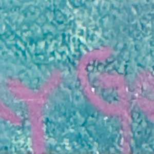 Pansies by Vicky Gooch  Image: Signature