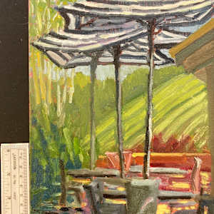Patio Patterns by Nancy Sterling Tyler 