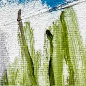 The Forest by Jerrolyn Travers 