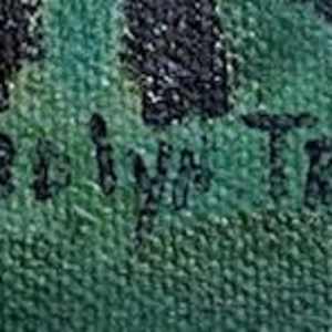 Waterfall by Jerrolyn Travers  Image: Signature