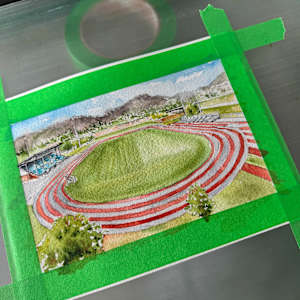 Apple Bowl Stadium V.1 #530 by Irina Bakumenko BEEBLAGOART 