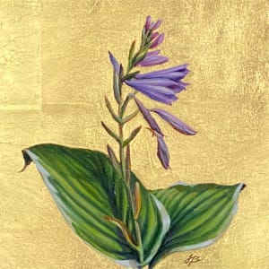 Hosta Flower by Joan Brady