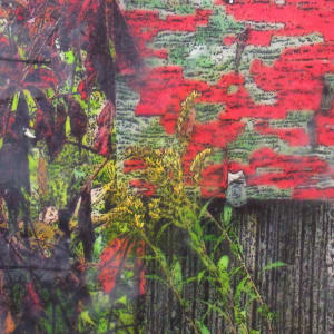 Gull Lake Glen 2021 by Carla Benjamin 