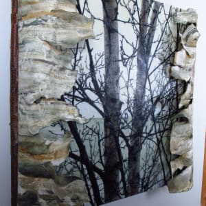 Big-Sea-Water Birch 2021 by Carla Benjamin  Image: Big-Sea-Water Birch 2021