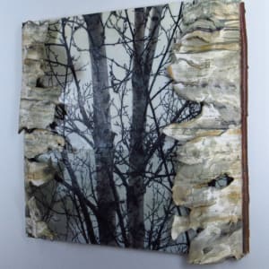 Big-Sea-Water Birch 2021 by Carla Benjamin  Image: Big-Sea-Water Birch 2021