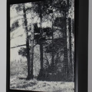 Black and White Series - Island View by Carla Benjamin  Image: Island View 2023