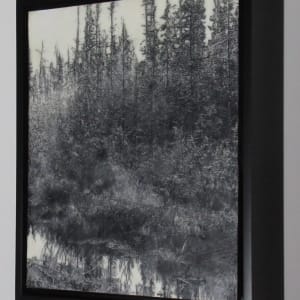 Black and White Series - Tamarac Reflections by Carla Benjamin  Image: Tamarac Reflections 2023