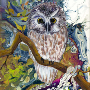 Boreal Owl by Linda K Bridges