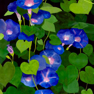 Morning Glory and Bumble Bee