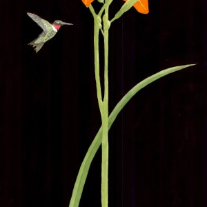 Daylily and Red-throated Hummingbird