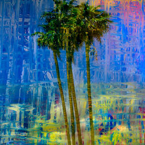 Los Angeles Palm by Saban/Cannon