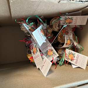 Potpourri by Lee Gray