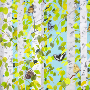 The Summer of Butterflies