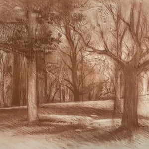 Campers Trees by Richard Terrell