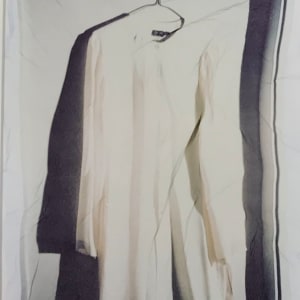 Family Pictures: White by Judith Cherry