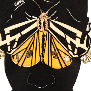 Covering by Janelle Washington 