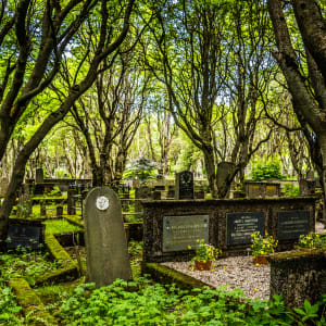 Ancient Cemetery - Reykjavik, Iceland