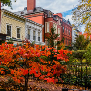 Autumn on the Hill - Washington DC by Jenny Nordstrom