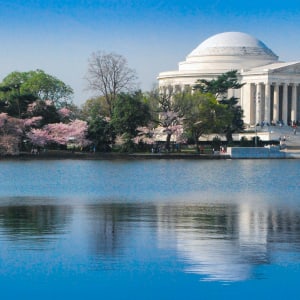 Jefferson Monument Reflection with Cherries