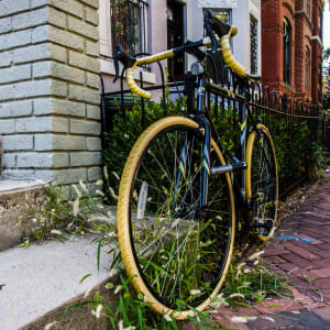 Bicycle, Capitol Hill