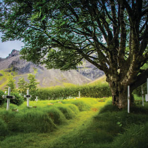 Ancient Cemetery - Oraefi, Iceland