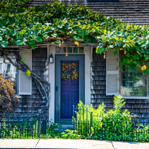 Ivy Door 2 - Plymouth, Massachusetts