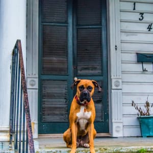 Mournful Hound + Door - New Orleans
