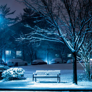 Snowy Bench - Brookland, Washington DC